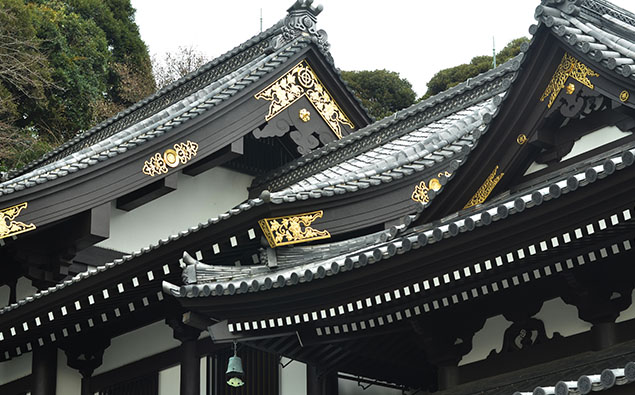 Dynamic Panning Cards