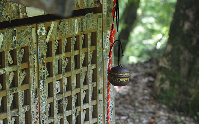 Flip the Cards in Style